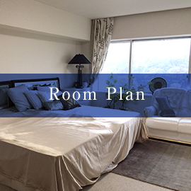 Room Plan